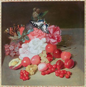 Nature morte avec papillons